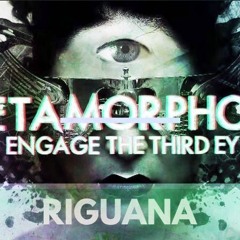 Metamorphosis (RIGUANA Tek Attack Refix)*free download*