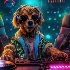Let Me Down Slowly  (party) 2023
