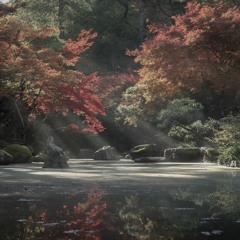 Dream in a Garden