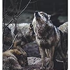 Download PDF Shasta Of The Wolves Author By Olaf Baker Gratis Full Chapter