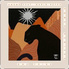 AMEME - Power feat. Mario Reyes (Na Ba Remix)