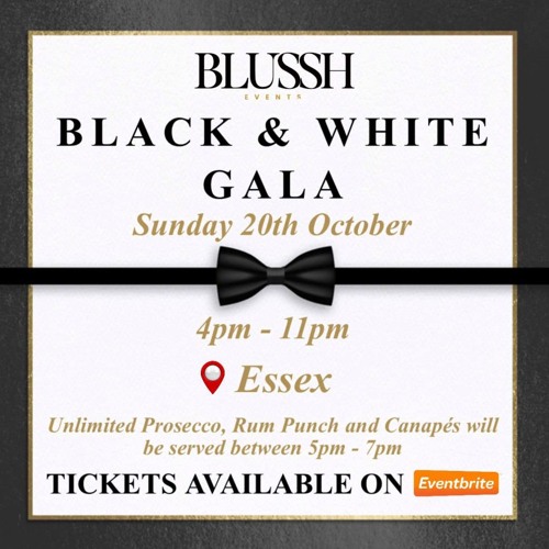 Pure Vibes Ent - Live At Blussh (Black & White Gala) 20.10.2024