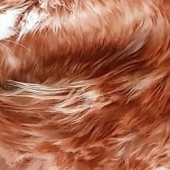 I - CON - Hotcast No. 6