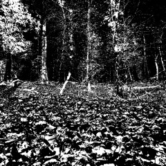 the outnumbering dead - movement 2