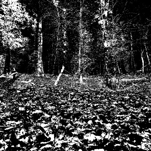 the outnumbering dead - movement 2