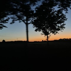 𝘈𝘮𝘰𝘳 𝘝𝘦𝘯𝘦𝘯𝘪