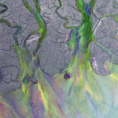 Breezeblocks - alt- J ( F.o.x cover/flip)