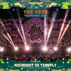 MICRODOT vs TIMEFLY @ The Hive | MoDem Festival 2024