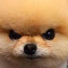 Grrrrrrrrrrr