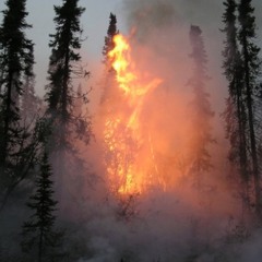 Reign + Zukenee - Gloria (Jdolla) (G.i.m.p + Arcade)