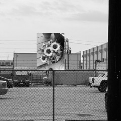 La Virgen De Guadalupe