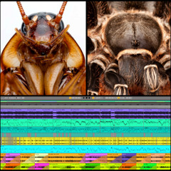 (Millions-Of-Years-Battle: Dark-Hard-Hitech) Track No: 6400.