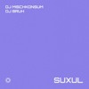 Download Video: DJBruh B2B DJMischkonsum @Suxul [16.12.2022]