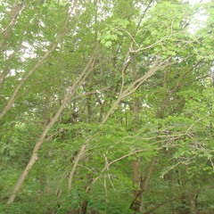 220116 at home