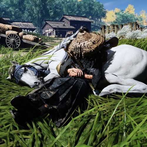 Patches/bloodborne