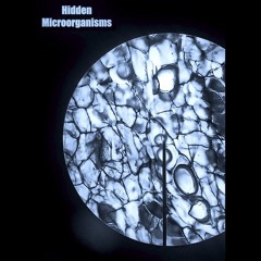 Hidden Microorganisms