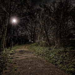 The Last Song The Owls Will Sing in North Dakota