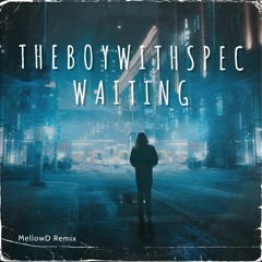 THEBOYWITHSPEC - WAITING -  (MellowD Remix)