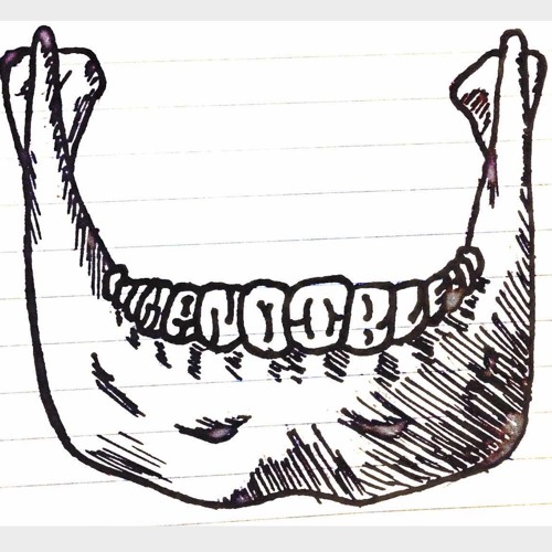 Head First - Mandibles