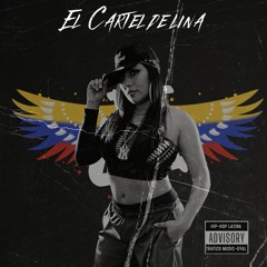 ELCARTEL DE LINA volume 1
