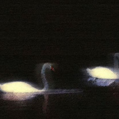 烟花易冷 (R&B版) Fireworks cool easily