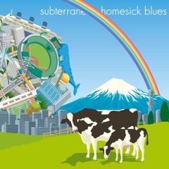 Tilki - Subterranean Homesick Blues 28022025
