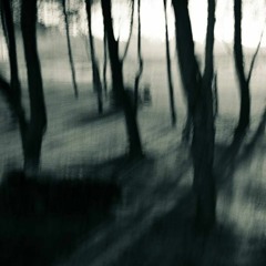 Ohio ftg. Katie Johnson (Damien Jurado)