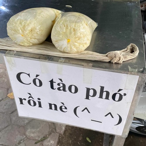 Tào Phớ - mngoczin