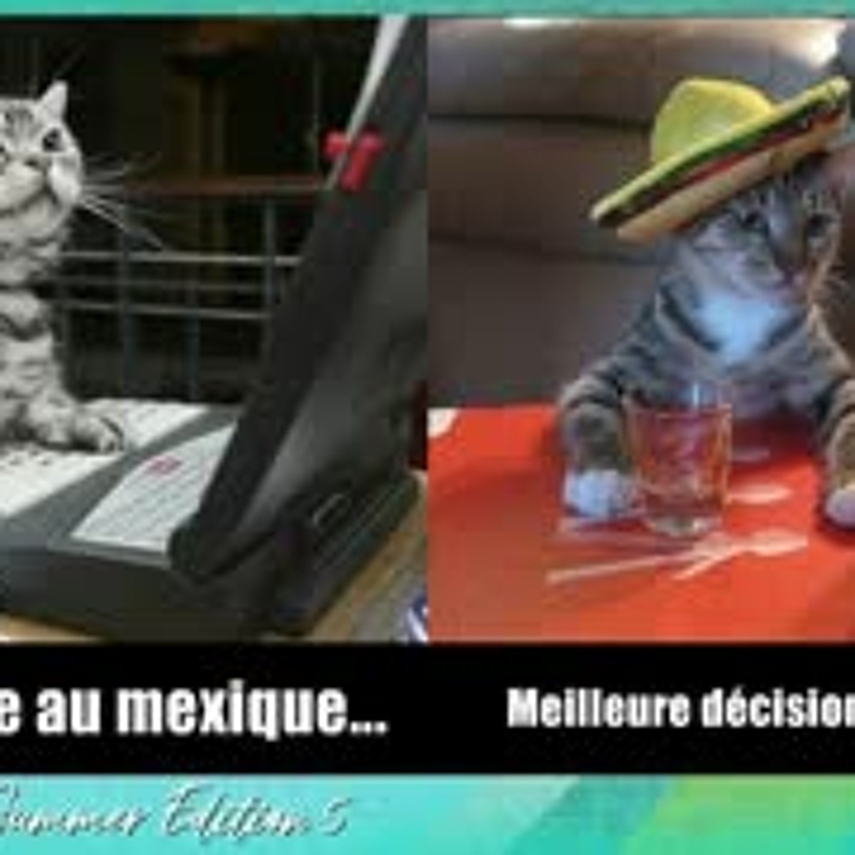 Le Podcast Oneshot Media