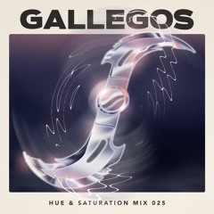 Hue & Saturation Mix 025: Gallegos