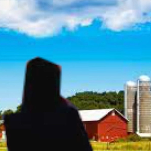 free for profit - Wait For Me - Young Honey