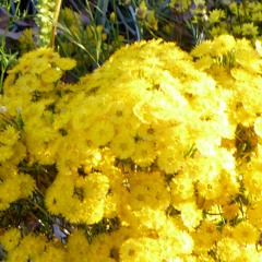 Clips - Lyrics - Vol 3