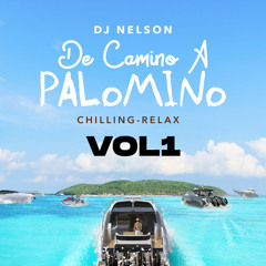 DJ Nelson, Babywine & Alejandro Armes - Titerita