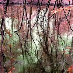 The fragile grace of an open heart