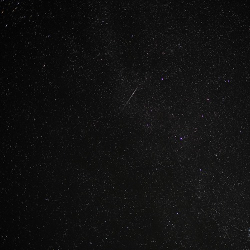 Perseids