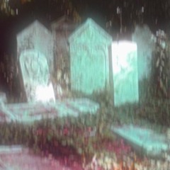 shuichi - basket boy