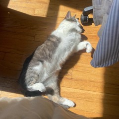 WEIGHT