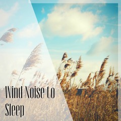 Wind Noise to Sleep