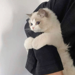 ⁨طالت المشاوير .