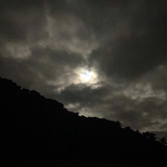 SOXL: A Dark Place