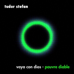 Vaya Con Dios - Pauvre Diable (Tudor Stefan Remix)