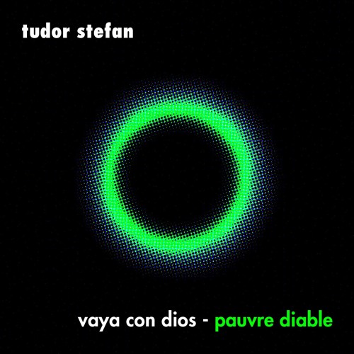 Vaya Con Dios - Pauvre Diable (Tudor Stefan Remix)