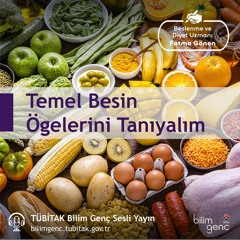 33- Temel Besin Ögelerini Tanıyalım