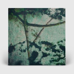 Suspension of Belief