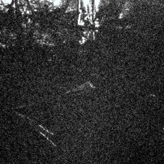 Big Tuesday (October 31, 2023)