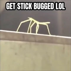 stick bug remix that i made a while ago but never uploaded anywhere