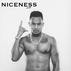 Leftside - Niceness (Raw)