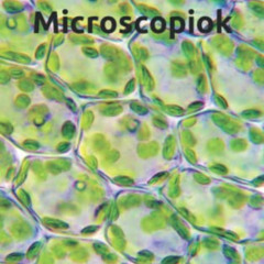 [Read] EBOOK 💑 Microscopiok: nature under the microscope by  Rosella Cristiani &  Pr
