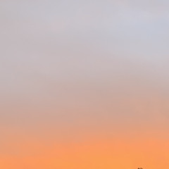 L'Appel des Caissons (Psy to tekno 155 BPM)