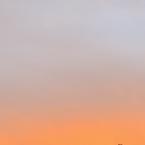 L'Appel des Caissons (Psy to tekno 155 BPM)